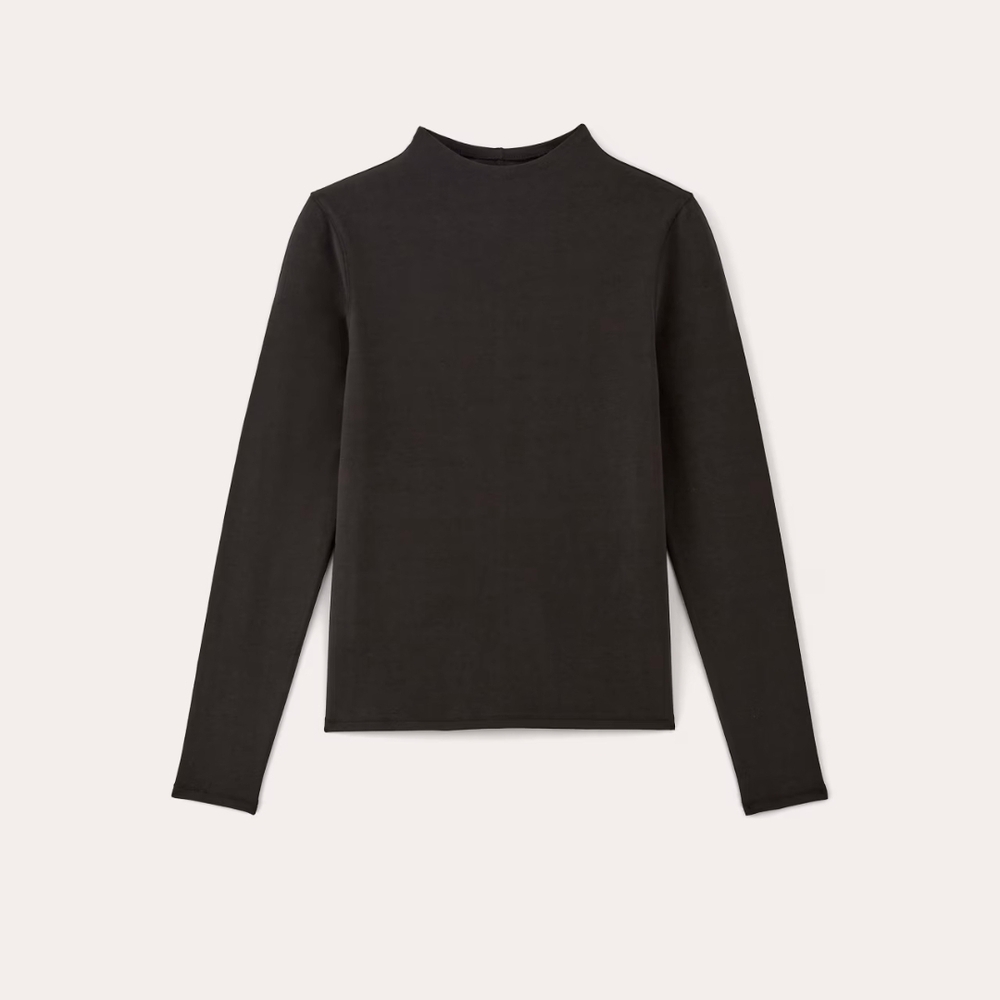 Everlane Black Form Fitted Funnel Neck Long Sleeve Top